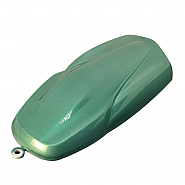 LC6X-23 Blackish Green (거무스름한 그린) 메탈릭 페인트