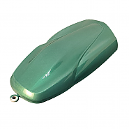 LC6X-24 Flash Green (플래쉬 그린) 메탈릭 페인트