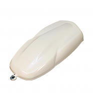 LTC-01 Violet/Orange (바이올렛/오렌지) 카멜레온 페인트